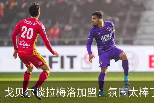 戈贝尔谈拉梅洛加盟：氛围太棒了，我们需要这种快乐